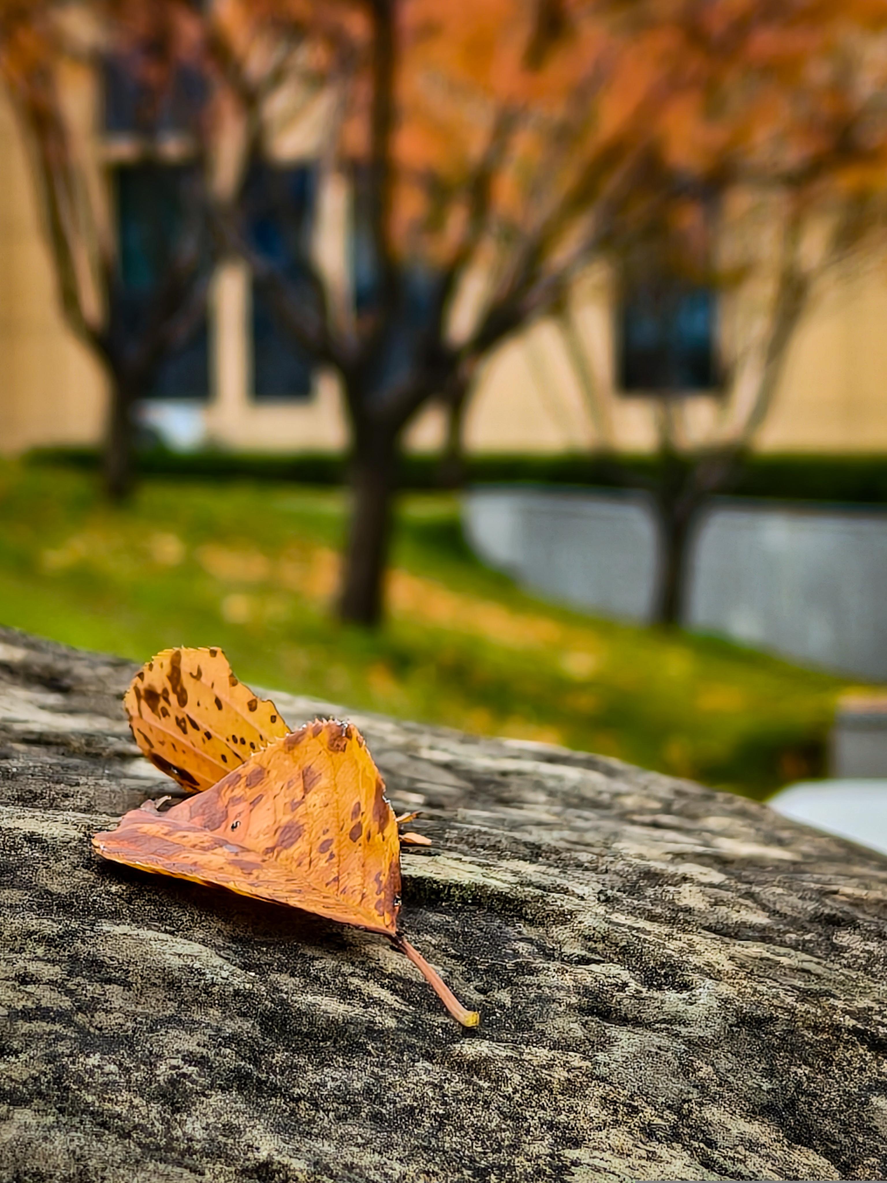 智能工程学院 智能工程学院