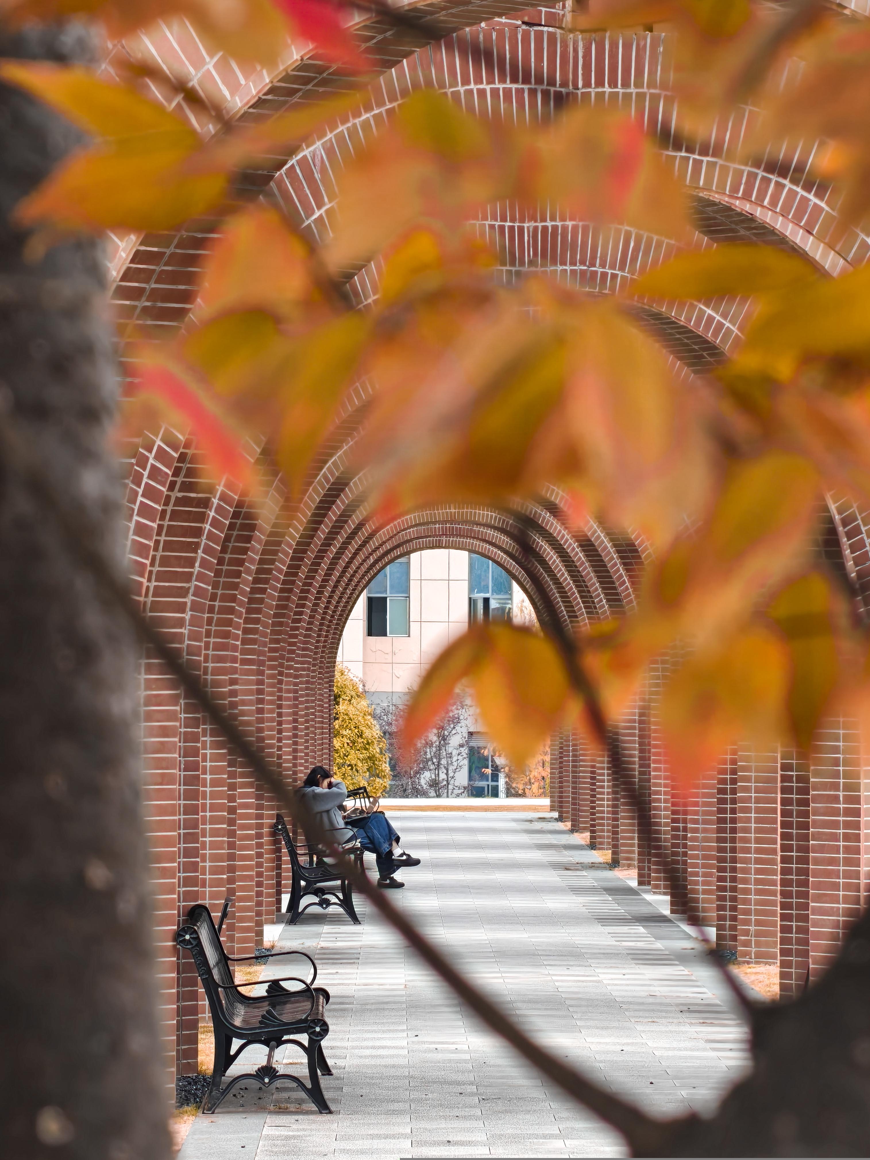 智能工程学院 智能工程学院