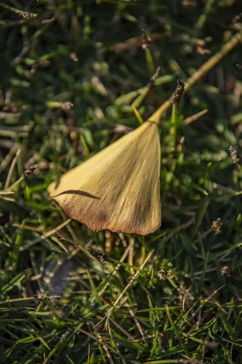 智能工程学院 智能工程学院