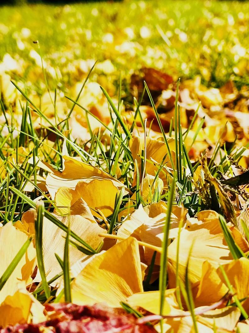 智能工程学院 智能工程学院